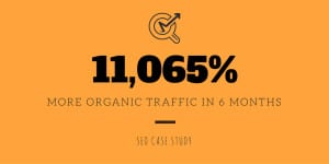 SEO Case Study: 11,065% More Organic Traffic in 6 Months