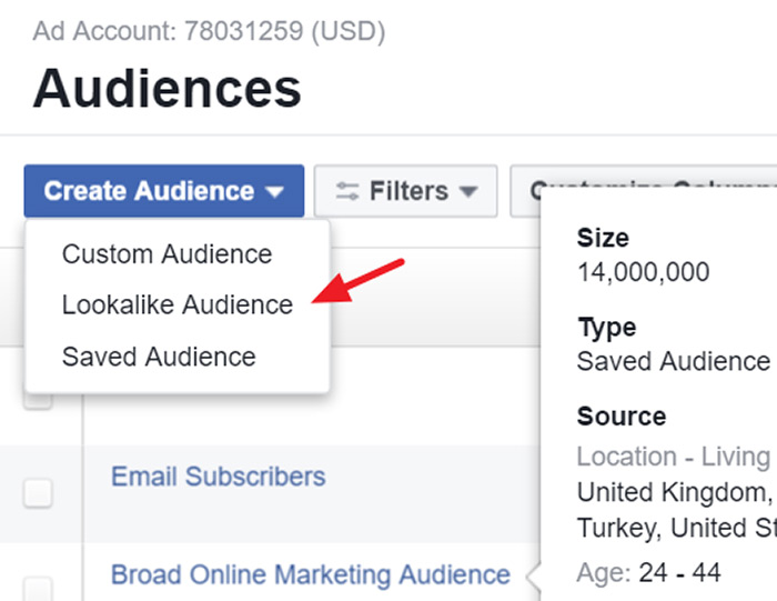 Create a facebook lookalike audience