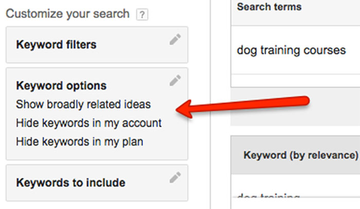 Keyword options in Google Keyword Planner