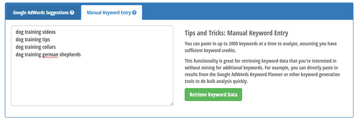 Manual keyword entry