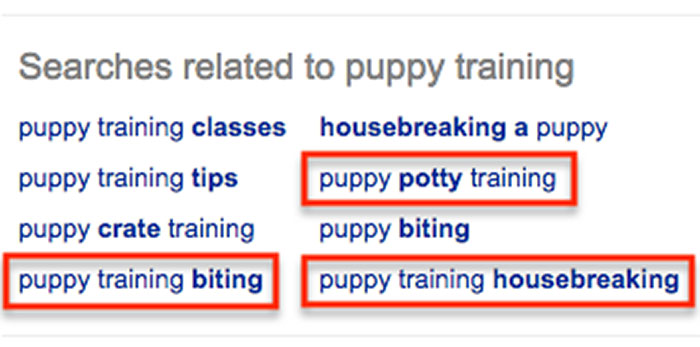 Puppy training related search