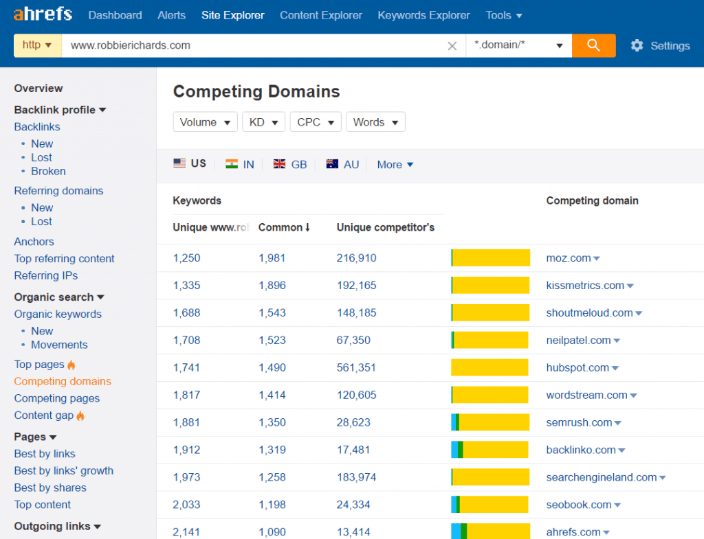 Ahrefs Competing Domains Report